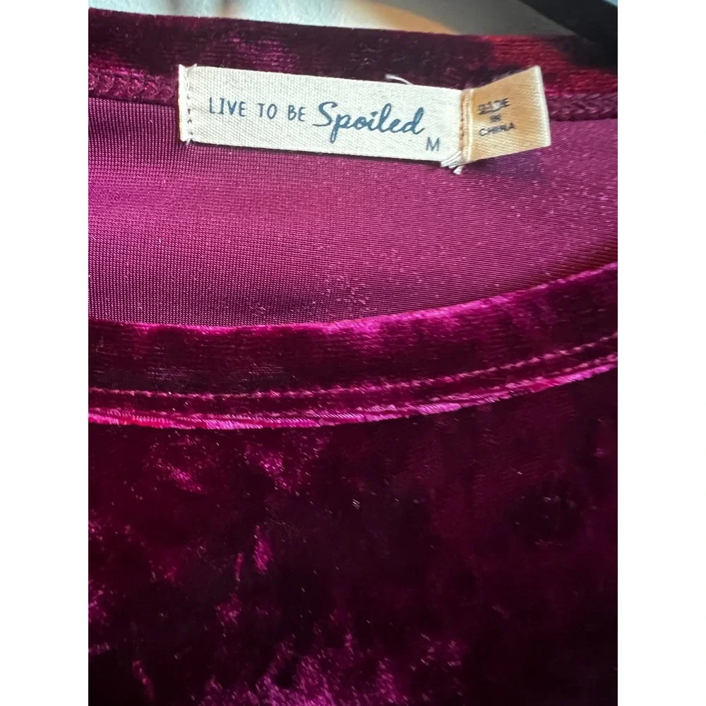 Live to be Spoiled Velvet Ruched Bodycon Dress Wine Long Sleeve Sz Medium‎ NWT - Picture 5 of 9